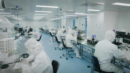 北芯生命遞交招股書 擬募資12.74億元，加速新材料技術(shù)研發(fā)與產(chǎn)業(yè)化進(jìn)程